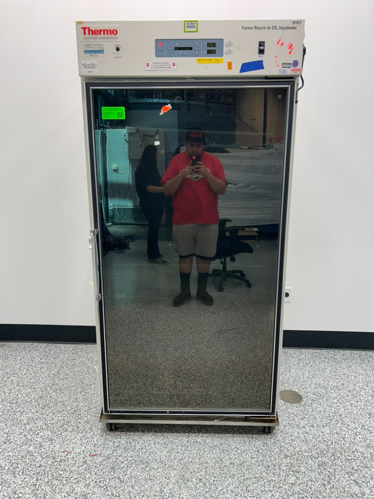 Image of Thermo Reach-In CO2 Incubator